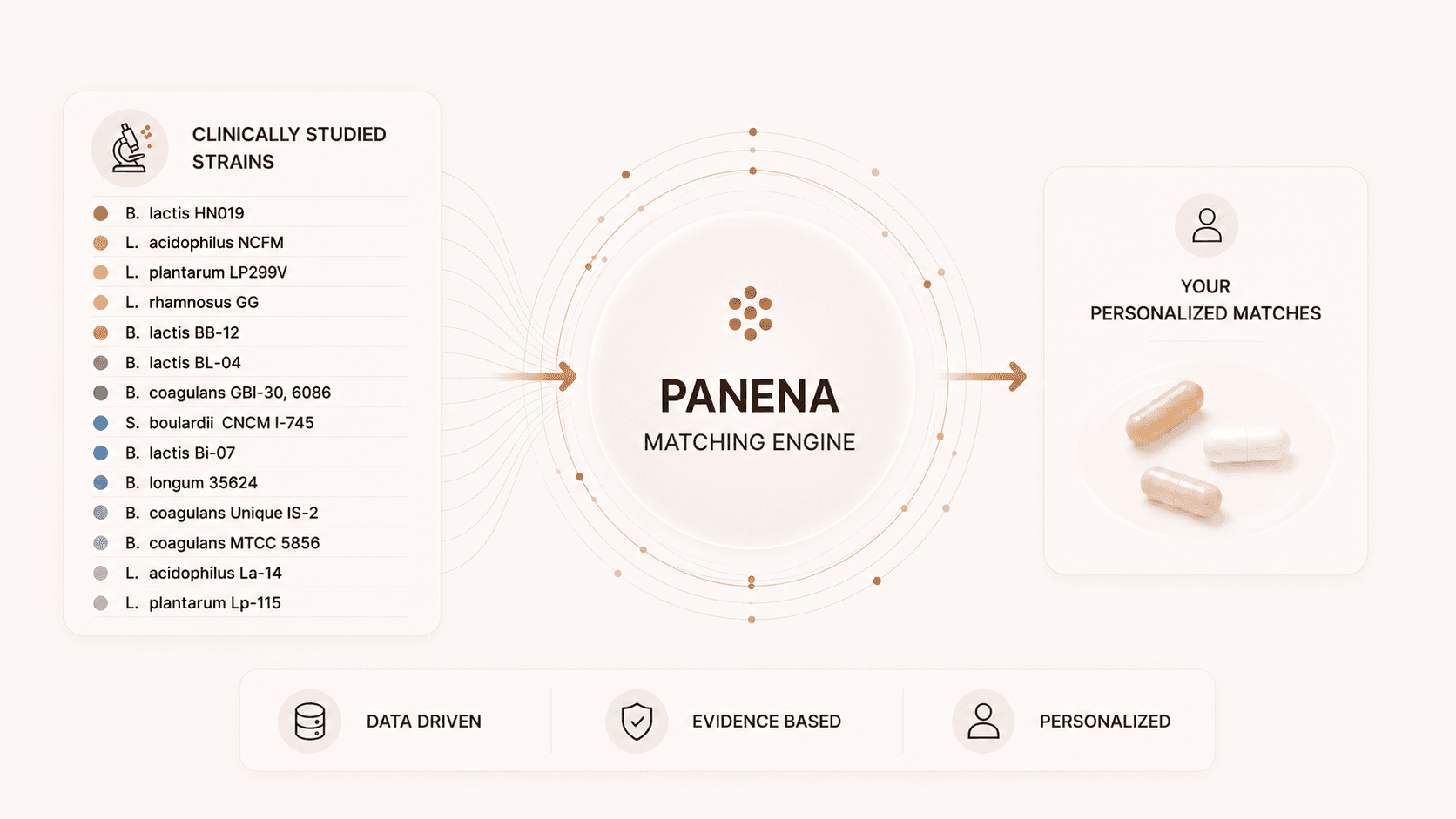 PANENA matching engine — clinically studied strains matched to your personalized result